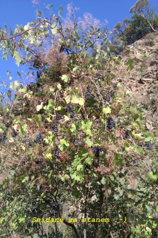 Albánií křížem krážem